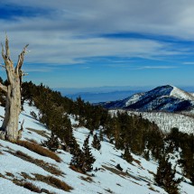 3369 meters high Griffith Peak
